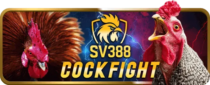 Khuyến mãi hấp dẫn cho thành viên mới vp88 win